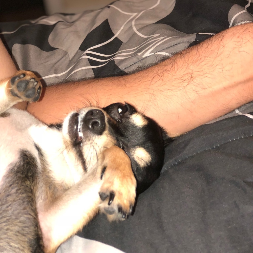 Meet your Posher, Mariana